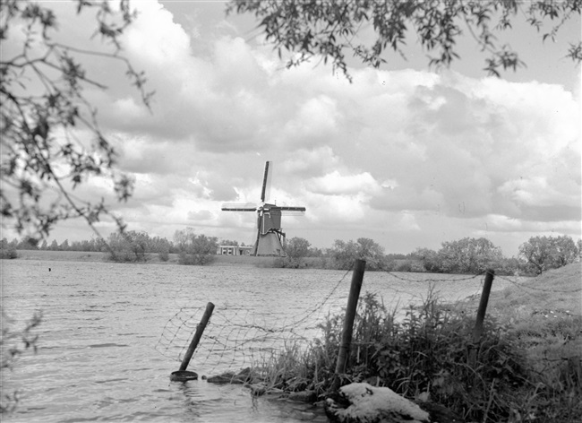 De Weijpoortse molen in Weijpoort, 1968