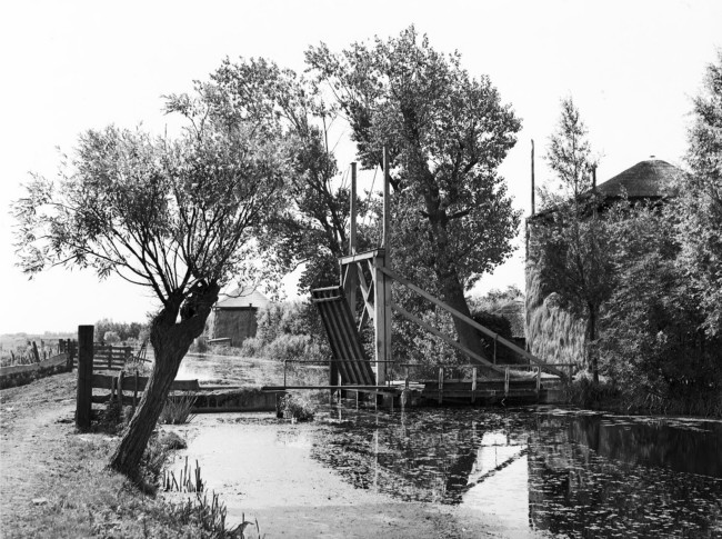 Ophaalbrug en hooibergen bij boerderij in Weijpoort, 1950