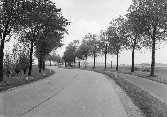 Een betonweg tussen Sommelsdijk en Dirksland