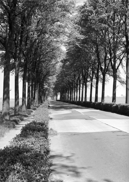 De Heerenweg, provinciale weg nr. 17, vermoedelijk bij Rijnsaterwoude.