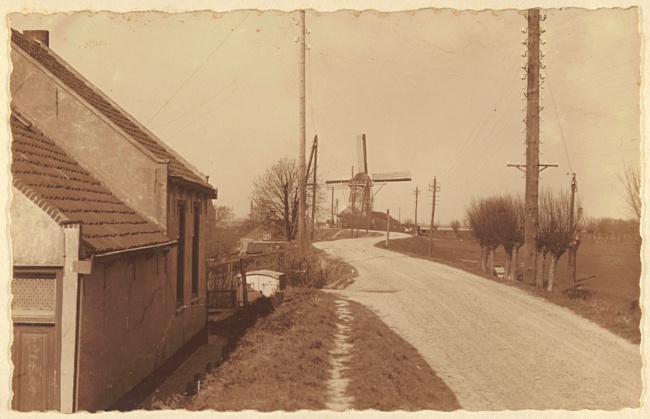 Wieldijk en Molen van Schelling in Heenvliet, 1931