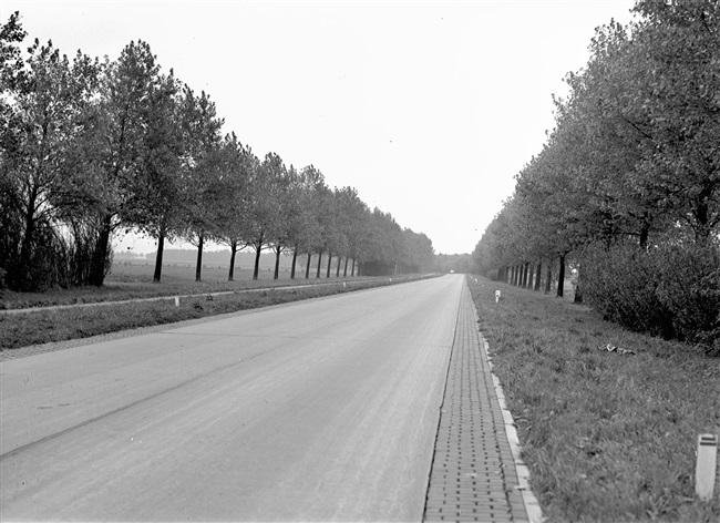 Provinciale weg nr. 22, zijtak naar Boskoop. Voltooide betonweg.