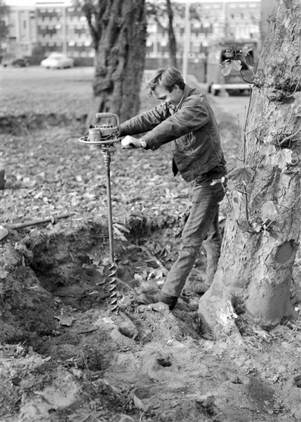 Boomchirurgie wordt toegepast bij een boom op het provincieterrein aan de Koningskade