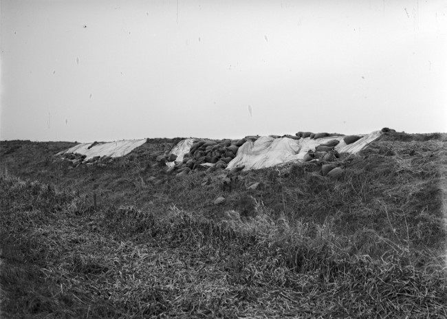 De beschadigde Nespolderdijk is met zandzakken verstevigd, na een storm op 23 december 1954.
