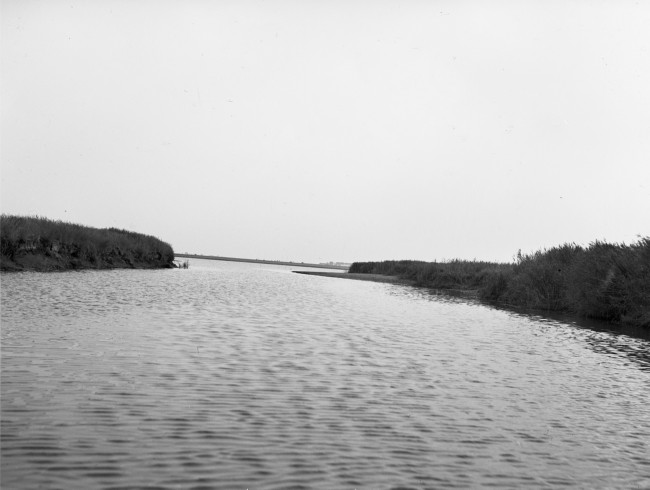 De Brielse Maas. In 1950 is deze afgedamd. Vanaf die tijd is de Brielse Maas, beter bekend als het Brielse Meer, een binnenwater.