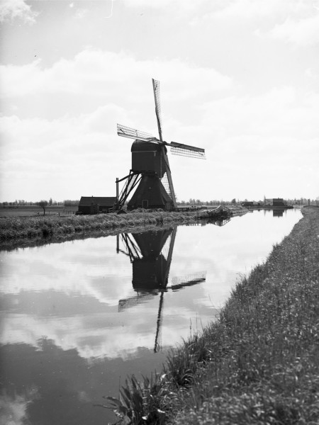 De Scheiwijkse molen bij de Appelmansbrug. De molen maalt het overtollige water uit de polder.