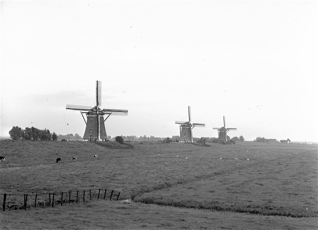 Poldermolens bij de Stompwijkseweg. De molens maken deel uit van de molendriegang van de Driemanspolder.