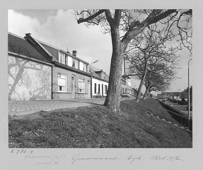 De Molendijk en korenmolen Windlust in Goudswaard, 1976