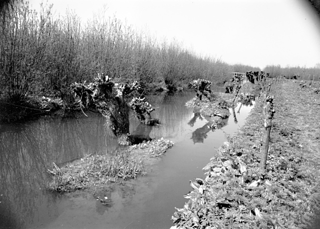 De Rhoonse Grienden bij Rhoon, 1969