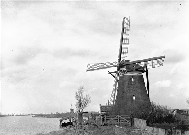Molens aan de rivier de Rotte in de Tweemanspolder. De molens zijn onderdeel van een molenviergang.