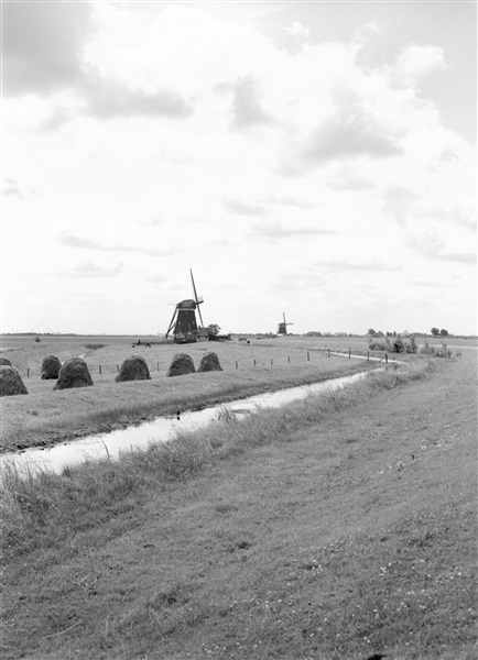 De molens nr. 3 en 4 van de Molenviergang van de Tweemanspolder. In vier 'trappen' van elk ongeveer 1,5 meter maalden de molens het water omhoog om zo het overtollige water op de Rotte te lozen.