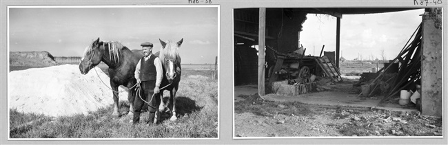 Boer en verwoeste boerderij op Goeree-Overflakkee, 1953