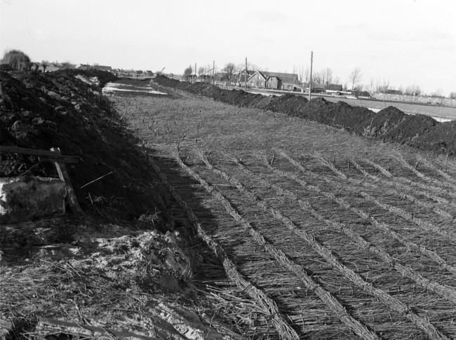 Aanleg van de provinciale weg nr. 29 tussen Gouda en Stolwijk. Om de draagkracht van de bodem te vergroten is een cunet, dat is een brede sleuf, gegraven. Daarin komt een laag houtvezelbalen met daarop een rijzenbedfundering (zie foto), een laag zand en tenslotte een wegverharding van ipro H-profiel keien.