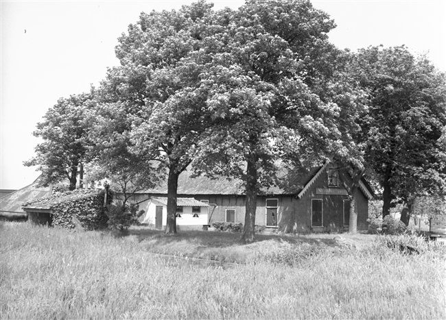 Boerderij Hendrikshoeve in Krimpenerwaard, 1967