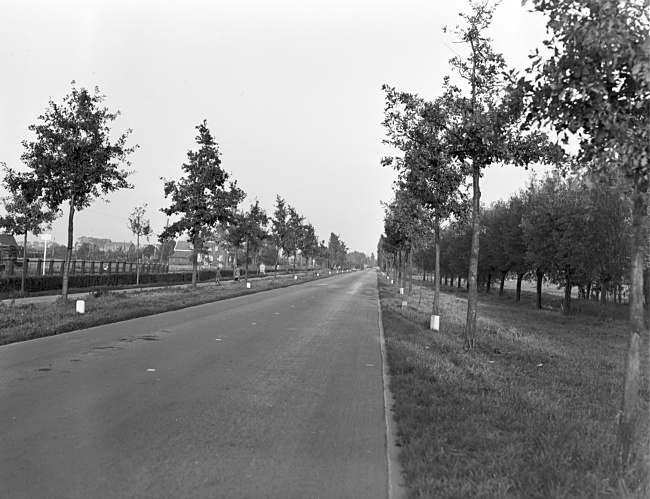 Groene Kruisweg/N492 bij Rhoon, 1948