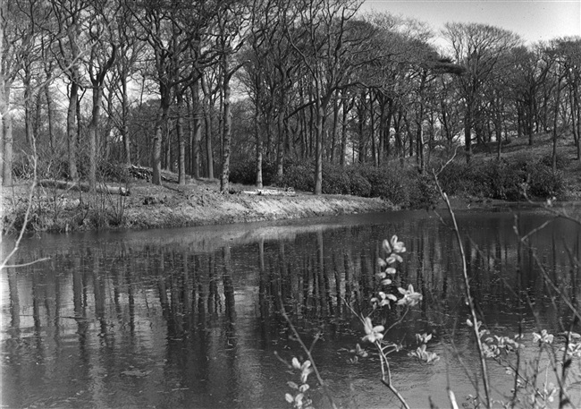 De Paulinaberg op landgoed Nieuw Leeuwenhorst, 1956