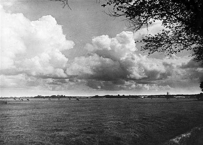 Weiland langs de Noordweg in de gemeente Westland, 1946