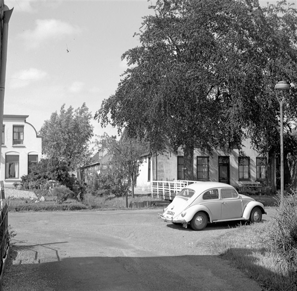 Biezen in Boskoop, 1960