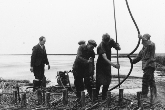 Vermoedelijk de aanleg van een rijshoutdam voor landaanwinning langs de kust van Voorne of Goeree-Overflakkee. De foto is waarschijnlijk gemaakt tussen 1947 en 1960.
