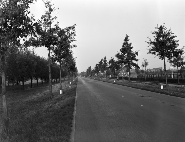 De Groene Kruisweg in de buurt van Rhoon