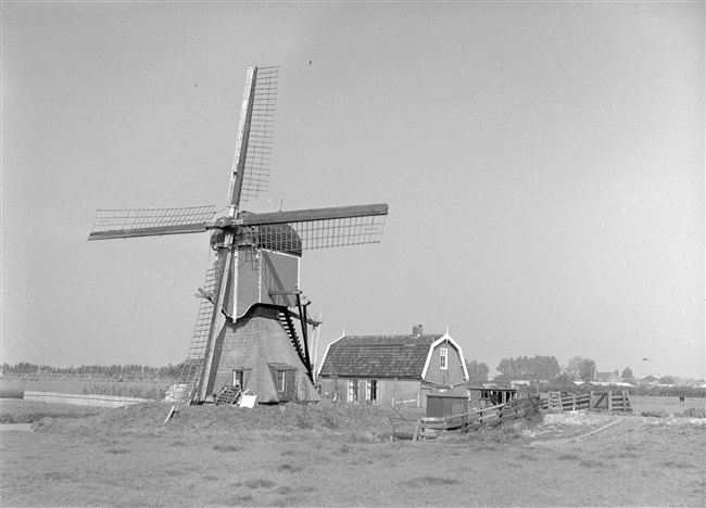 De Bosmolen met molenaarshuisje langs de Does. Deze molen van Leiderdorp is later verplaatst naar de Lagenwaardse polder.