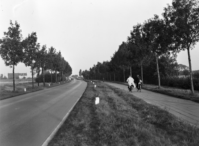 De Groene Kruisweg in de buurt van Rhoon