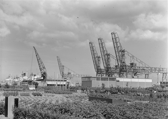 Waalhaven aan de Heijplaatweg in Rotterdam, 1959