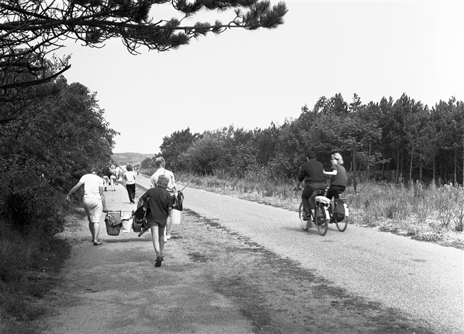 Zomerse drukte met dagjesmensen bij Langevelderslag. Door het aanleggen van fietspaden ontsluit de provincie Zuid-Holland duingebieden voor recreatie.