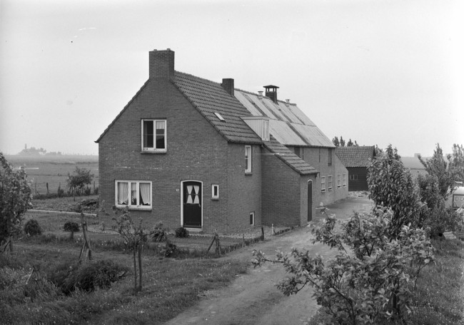 Boerderij bij de Dordtse Kil in 's-Gravendeel, 1956