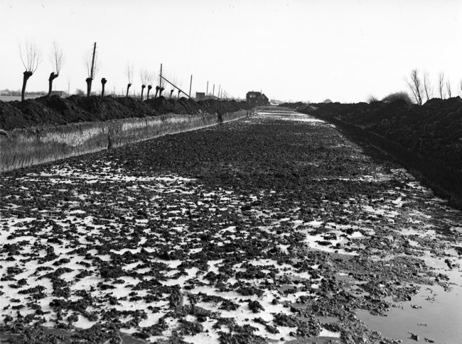 Aanleg van de provinciale weg nr. 29 tussen Gouda en Stolwijk. Om de draagkracht van de bodem te vergroten is een cunet, dat is een brede sleuf, gegraven. Daarin komt een laag houtvezelbalen met daarop een rijzenbed constructie, een laag zand en een wegverharding van ipro H-profiel keien.