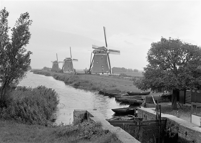 Poldermolens bij de Stompwijkseweg. De molens maken deel uit van de molendriegang van de Driemanspolder.