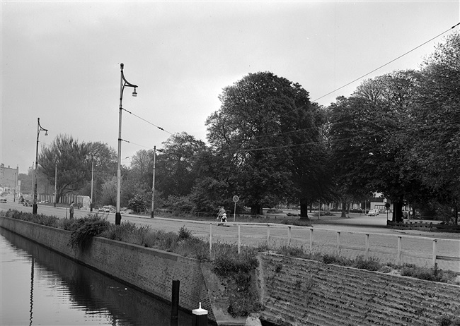 Haagsche Dierentuin aan de Koningskade in Den Haag, 1955