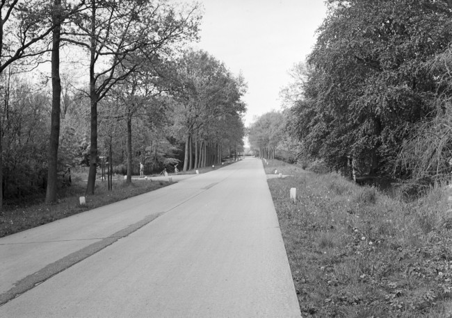 De Boomweg, provinciale weg tussen Rockanje en Oostvoorne.