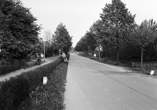 Een betonweg tussen Dubbeldam en Kop van 't Land.