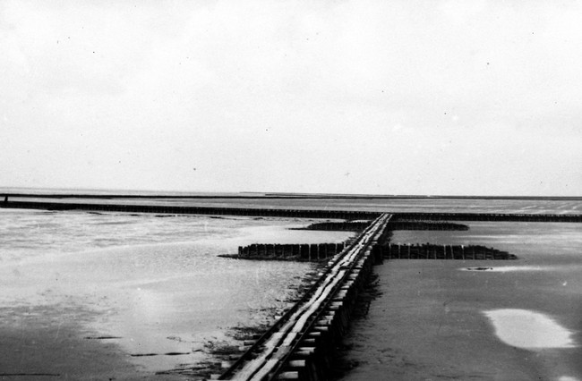 Vermoedelijk rijshoutdammen voor landaanwinning langs de kust van Voorne of Goeree-Overflakkee. De foto is waarschijnlijk gemaakt tussen 1947 en 1960.