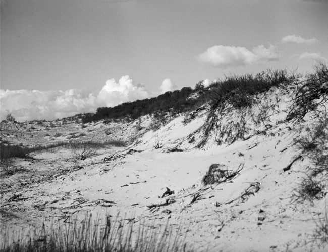 Een zandverstuiving in de duinen